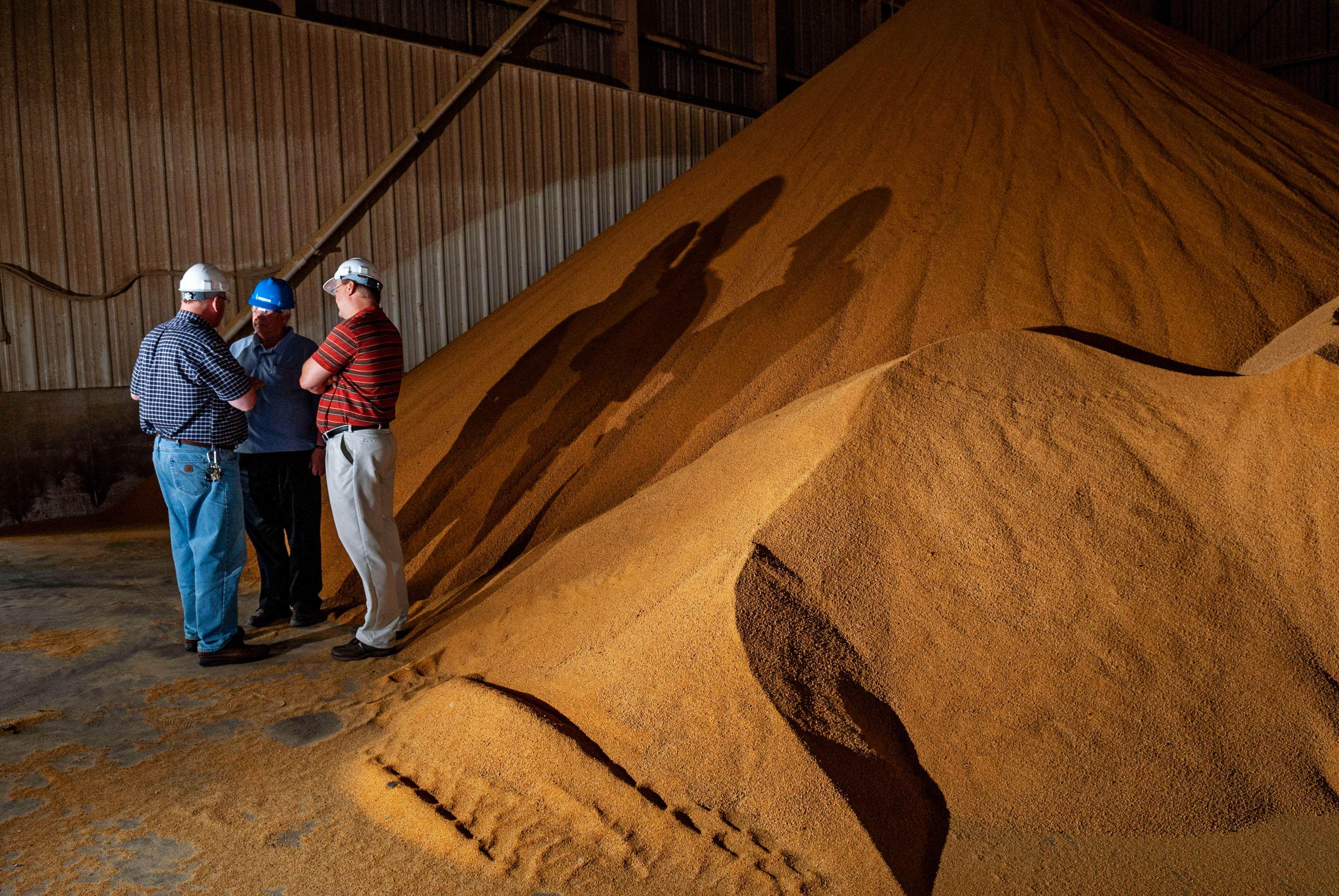 Ethanol Production Aaron C. Packard Photography Agriculture