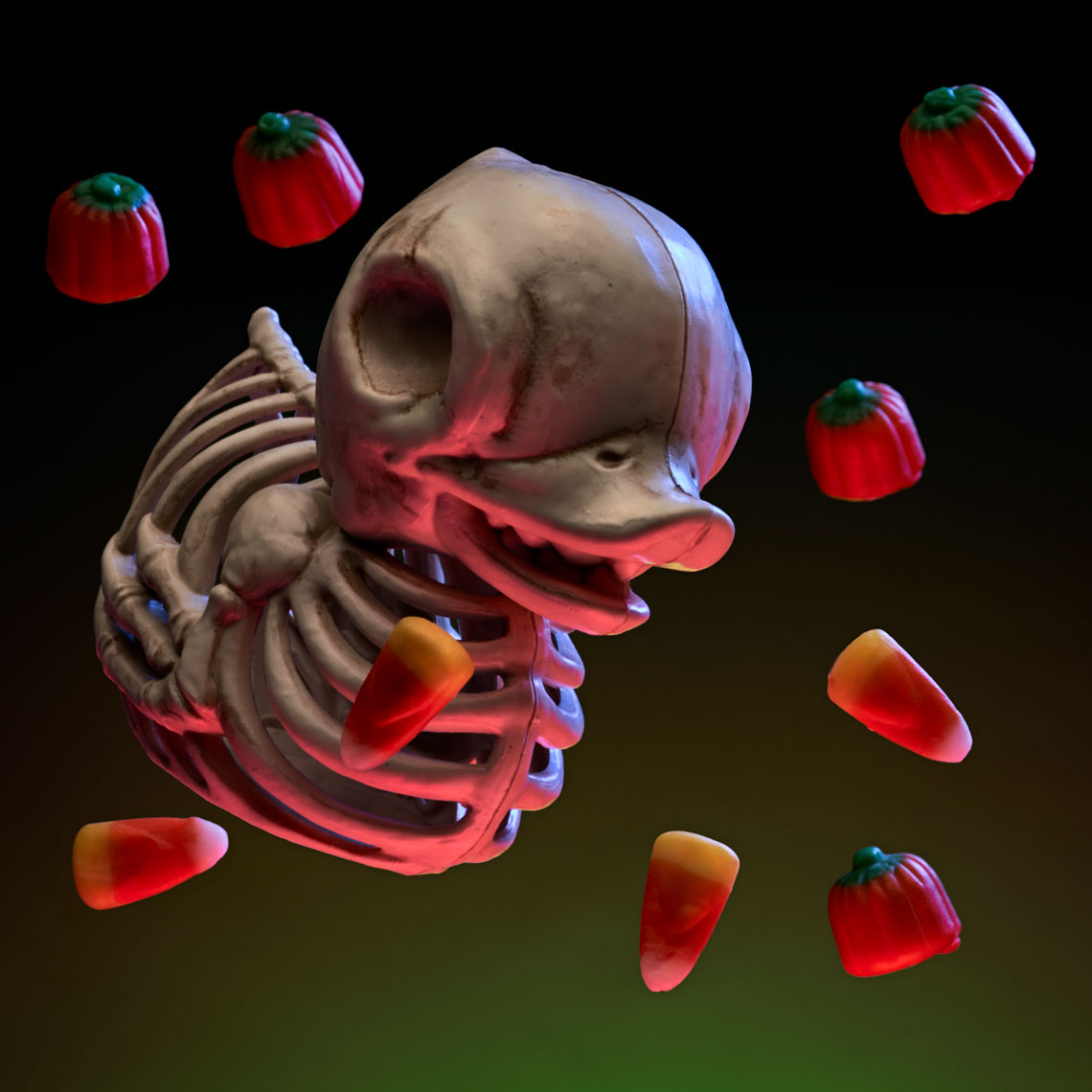 Duck and Candy Corn Aaron C Packard Photographer ACP Product